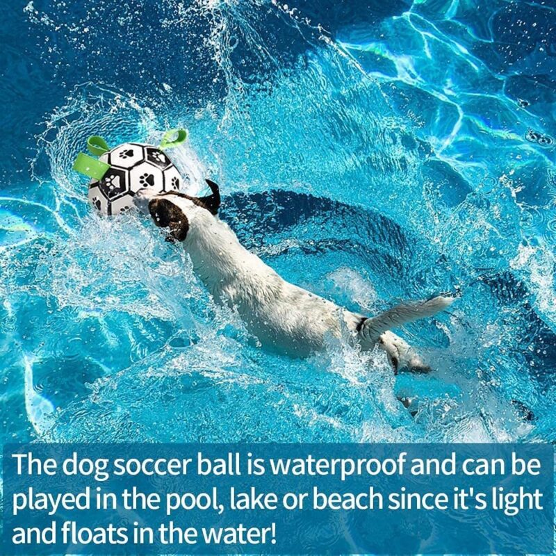 1929813737875968000 1.jpg